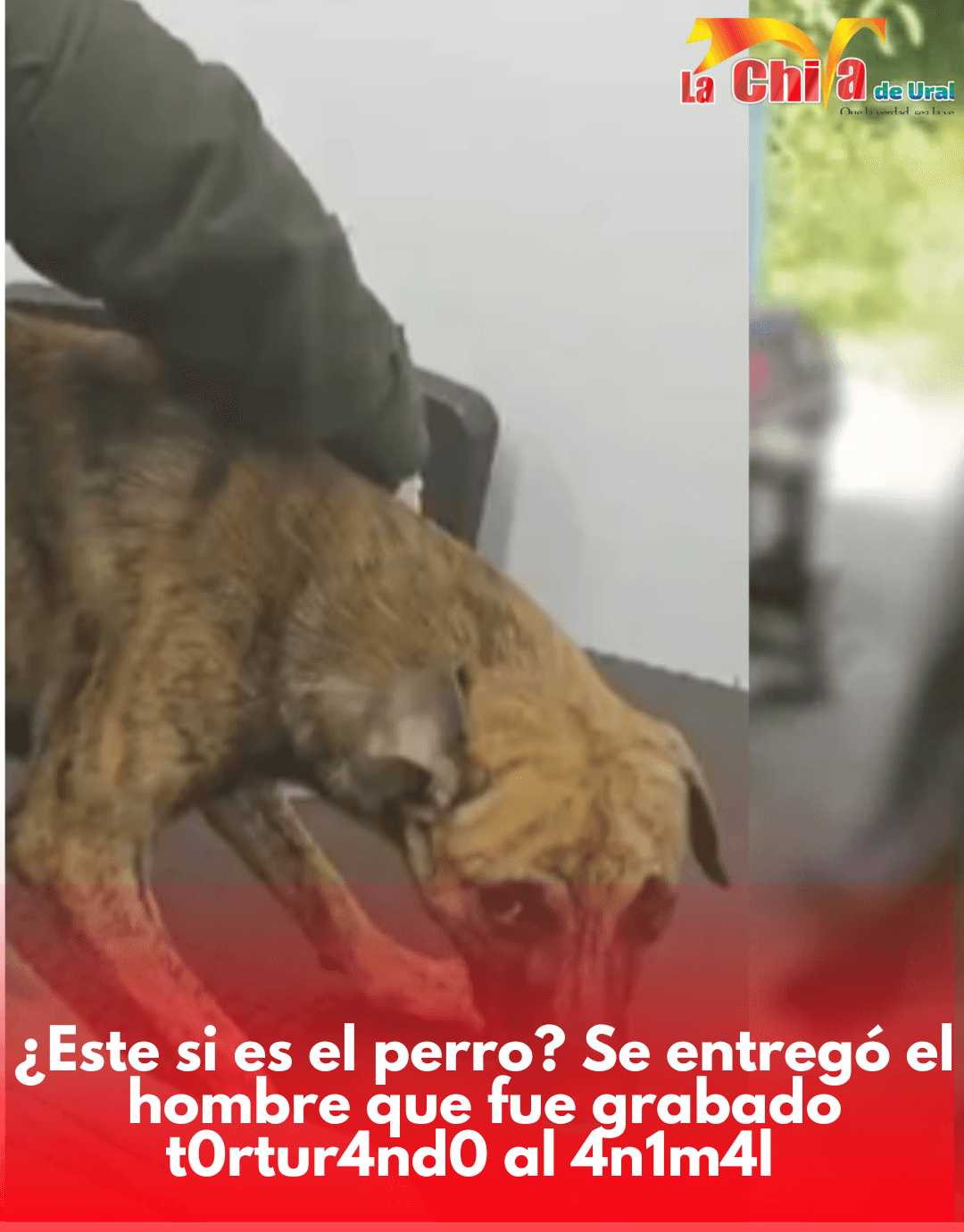 Se entregó a las autoridades bajo la indignación y presión social, qué pena le espera